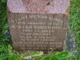 image of grave number 853407